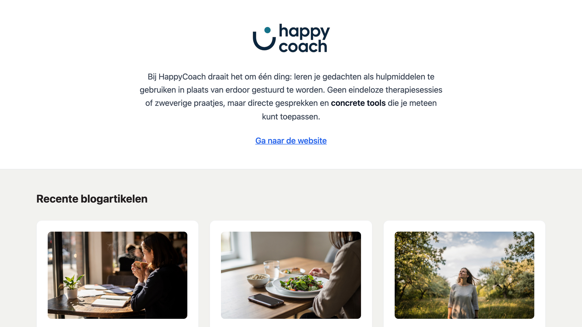Schermafbeelding van dibbi: Zo komt je blog online