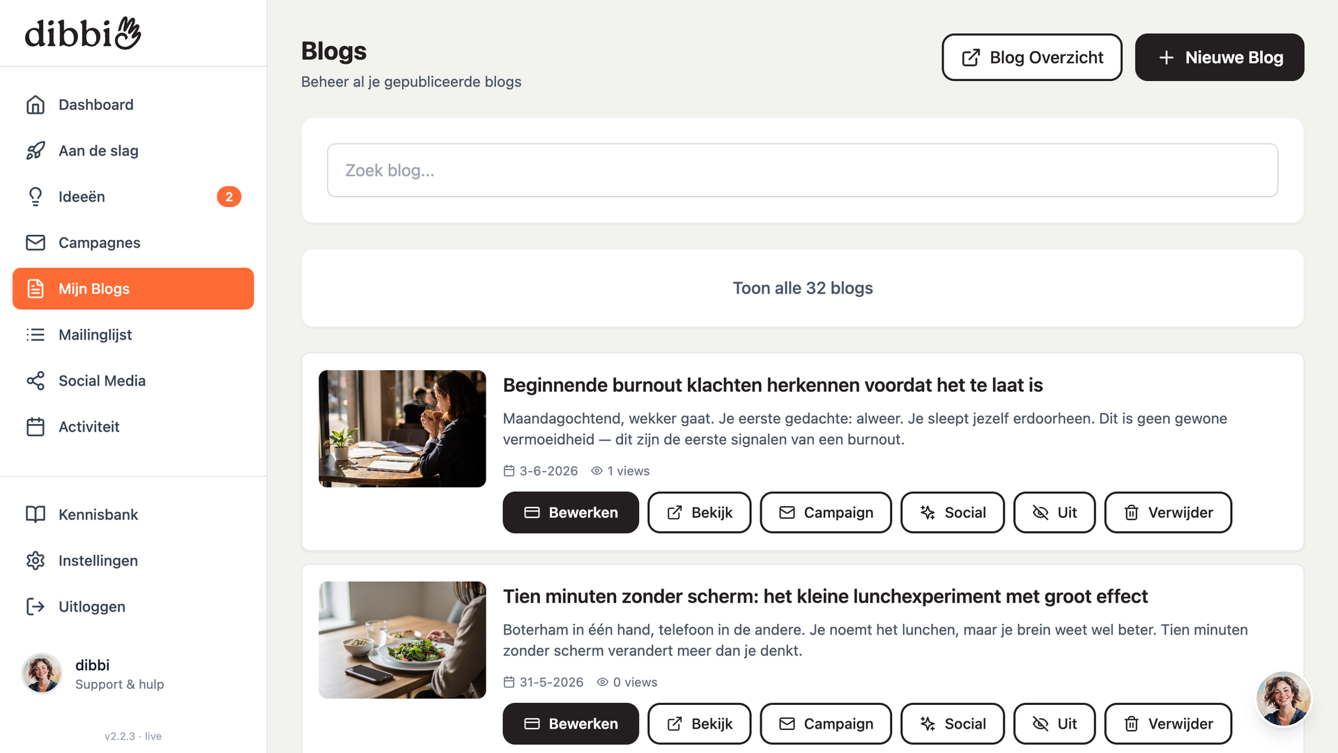 Schermafbeelding van dibbi: Zo deel je je blog via e-mail